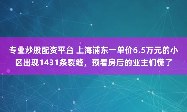 专业炒股配资平台 上海浦东一单价6.5万元的小区出现1431条裂缝，预看房后的业主们慌了